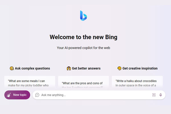 Microsoft Bing Chat